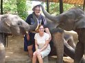 Day 9 - Chiang Mai - Elephant Camp 055